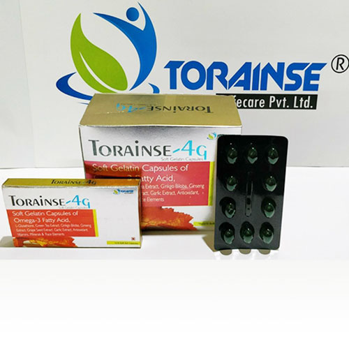 TORAINSE-4G