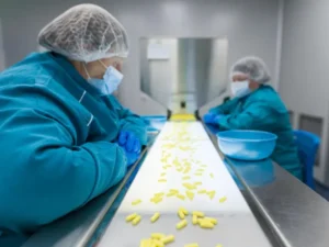 Launch Your Own Pharma Brand Without a Manufacturing Plant